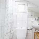 Pod Swierkiem 度假居 Naterki